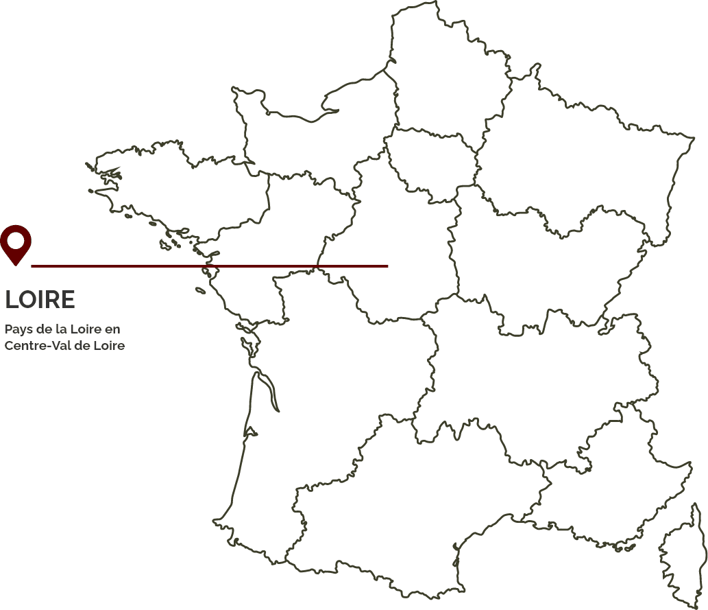 Loire wijnen image 04