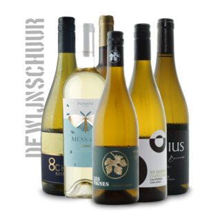 Proefwerk Vol & Rond Wit