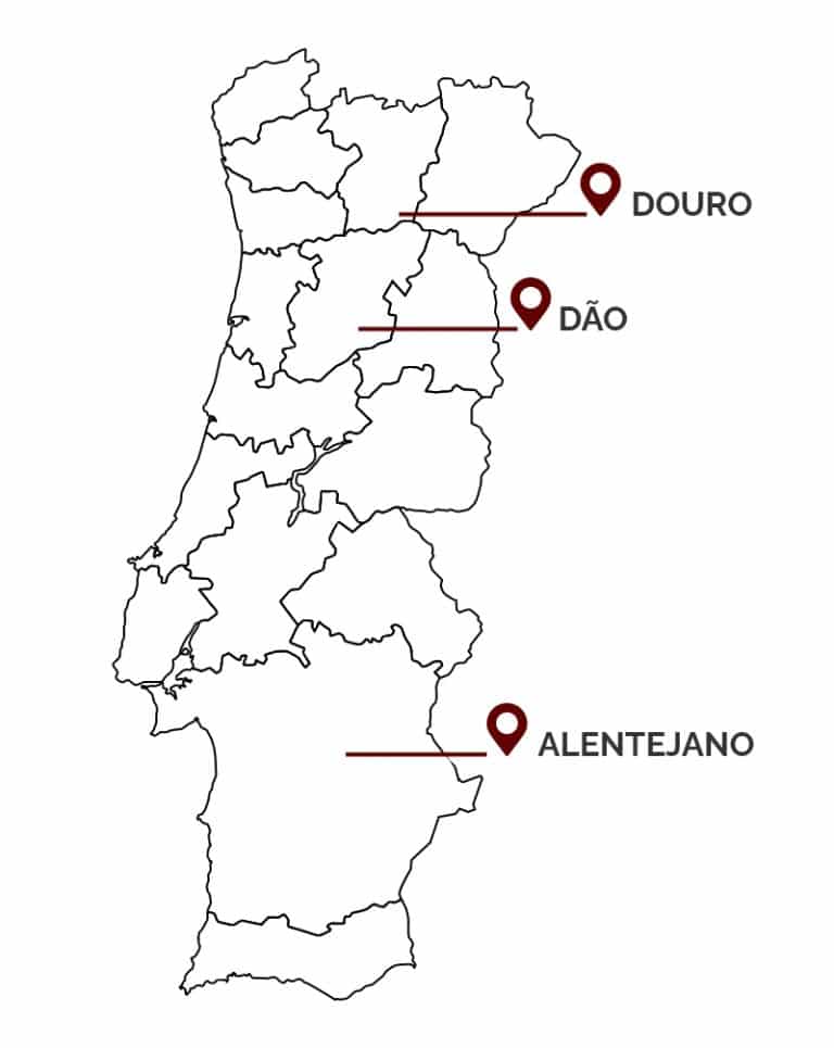 Wijn Regio Portugal - Douro - Alentejano - Dão