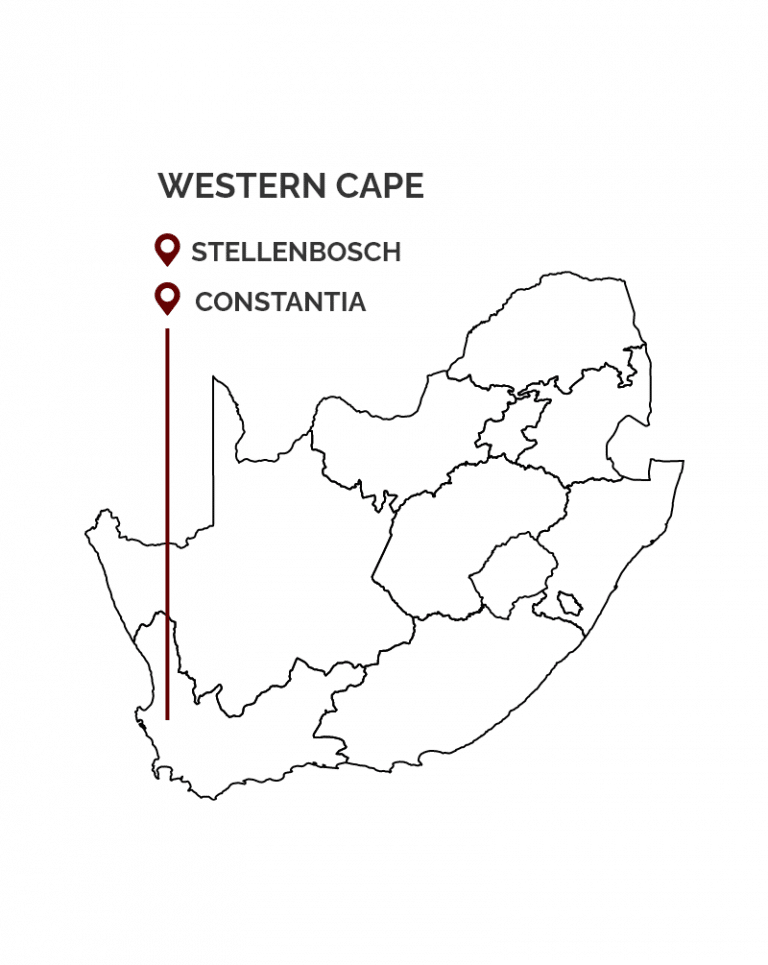 Wijn Regio - Zuid-afrika - Western Cape - Stellenbosch - Constantia