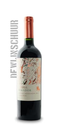 Odfjell Armador Cabernet Sauvignon Chile 2020 Organic Wine