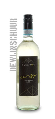 Il Capannone Pinot Grigio