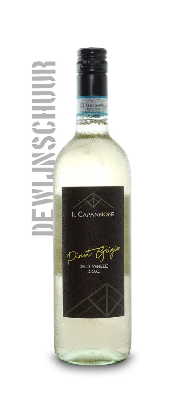 Il Capannone Pinot Grigio