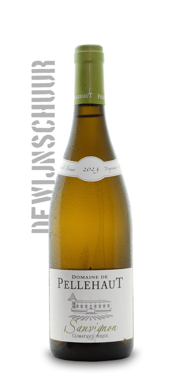 Domaine de Pellehaut Climateaoceanique Sauvignon Blanc