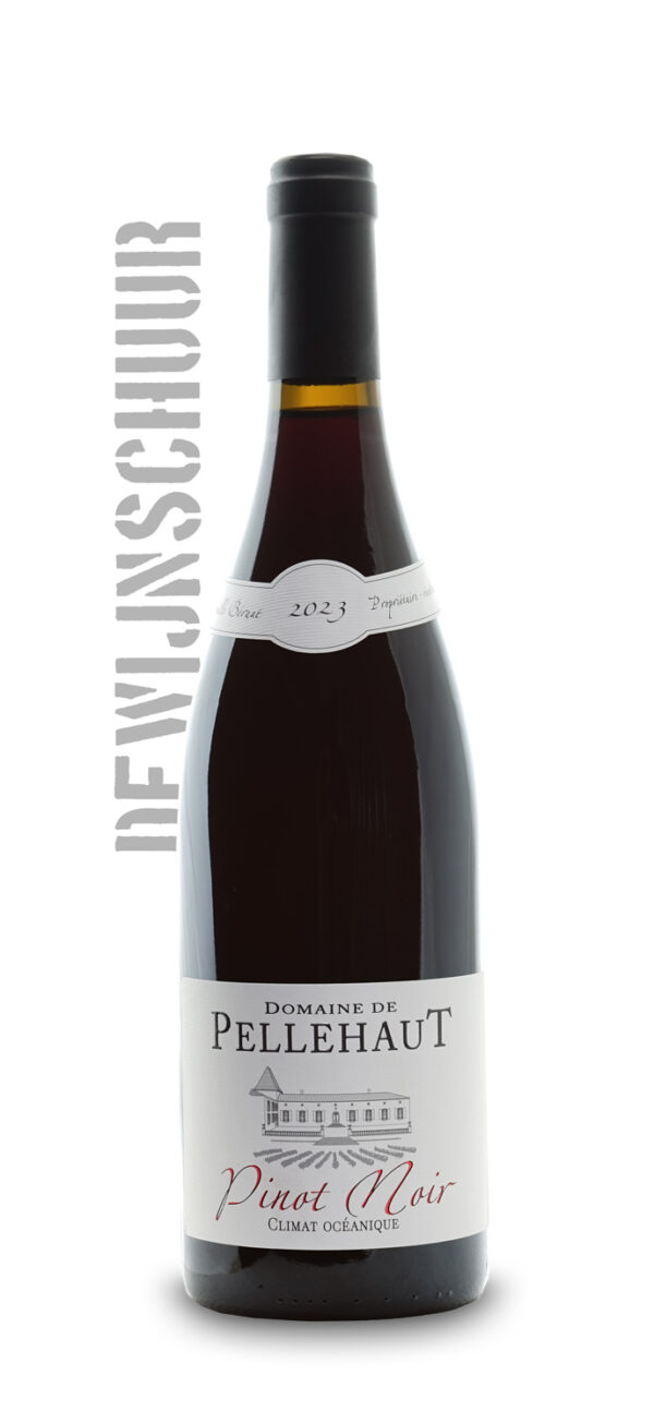 Domaine de Pellehaut Climateaoceanique Pinot Noir