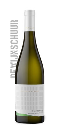 Pliniana Centocontrade Chardonnay Salento